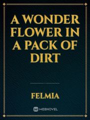 A Wonder Flower in a Pack of Dirt Book