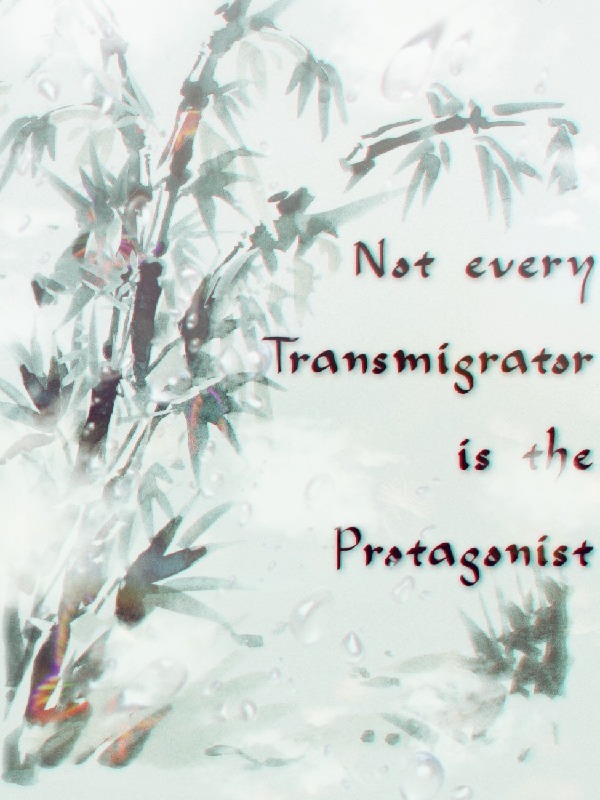 Not every Transmigrator is the Protagonist Book