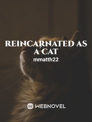 Reincarnated as a Cat Book