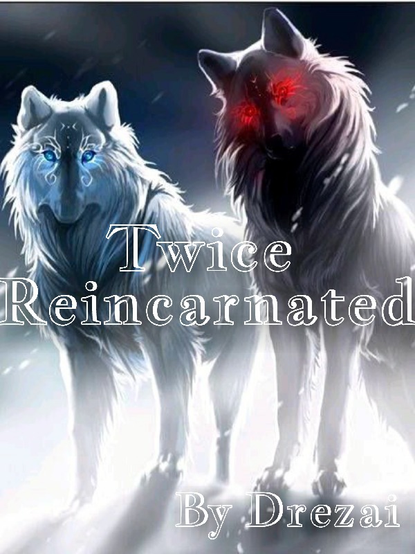 Twice Reincarnated