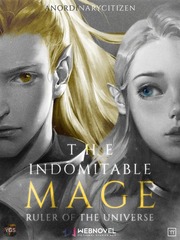 The Indomitable Mage, Ruler of The Universe Book