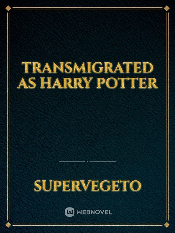 Transmigrated as Harry Potter Book