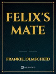 Felix's mate Book