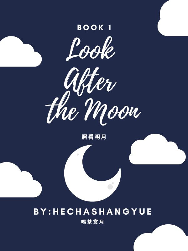 Look After the Moon Book