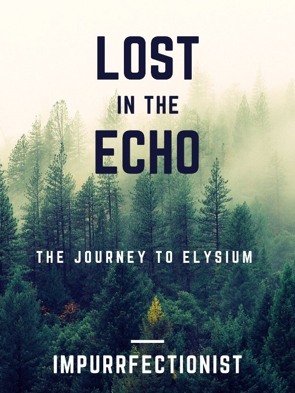 Lost in the Echo Book