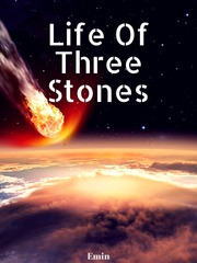 Life Of Three Stones Book