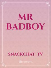 Mr Badboy Book