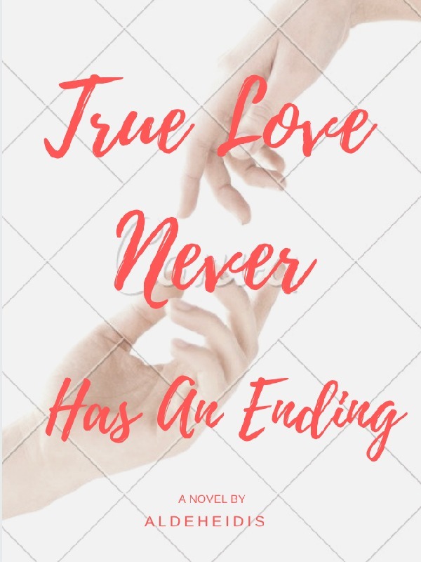 True Love Never Has An Ending Book