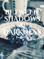 Between Shadows & Darkness Book