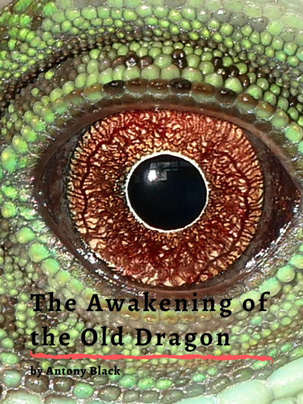 The Awakening of The Old Dragon Book