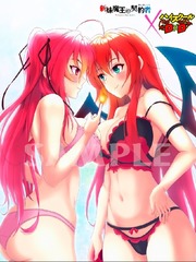 The Irregular: The Testament of Sister New Devil X High School DxD Book