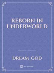 Reborn in Underworld Book
