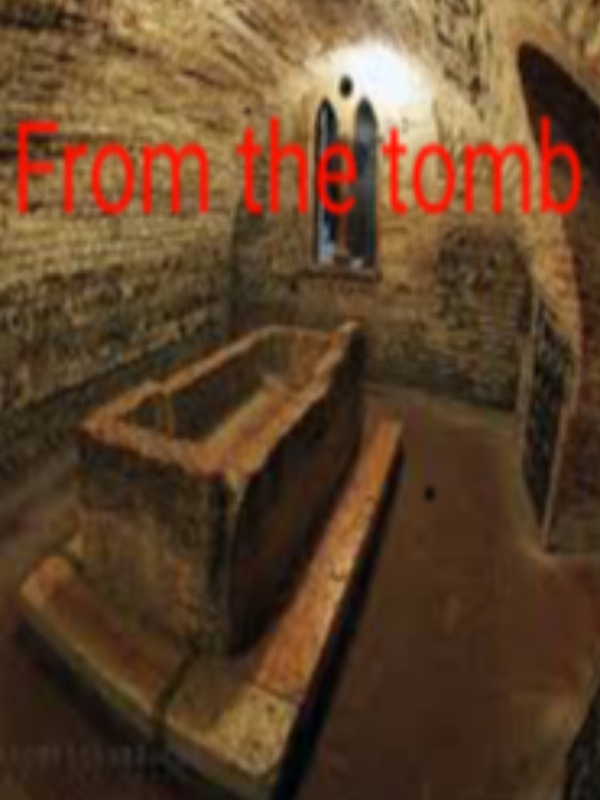 From the Tomb Serries Book