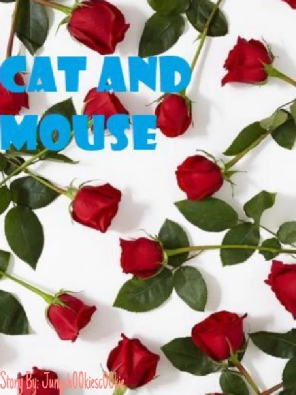 Cat and Mouse Book