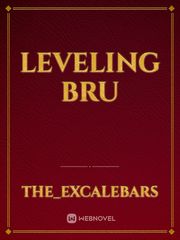 leveling bru Book