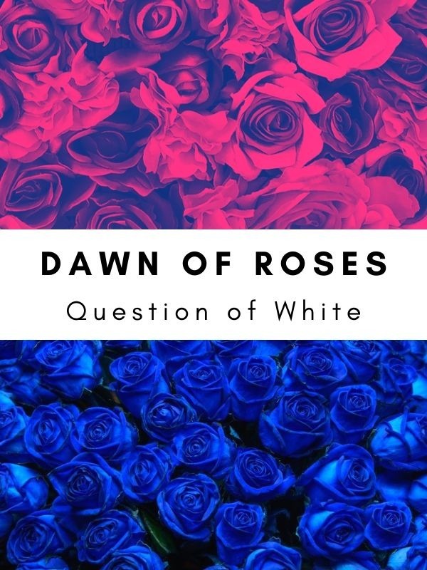 Dawn of Roses