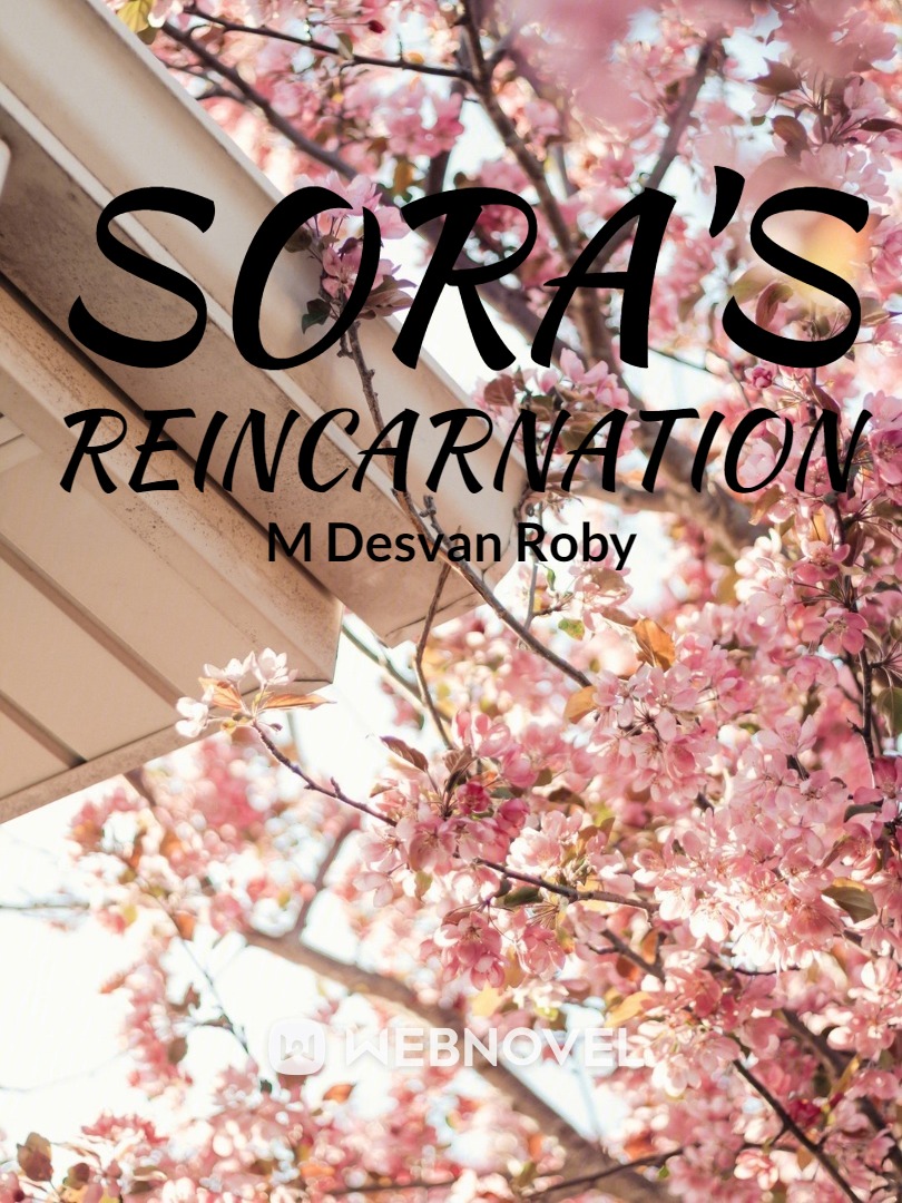 Sora's Reincarnation