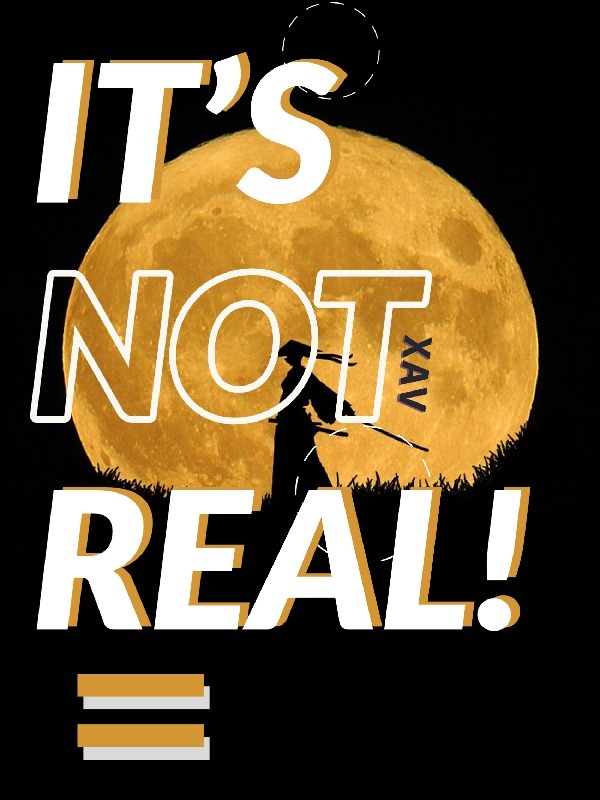 It's Not Real! Book