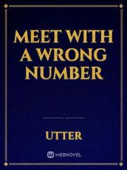 Meet with a wrong number Book