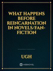 What Happens Before Reincarnation in Novels/Fan-fiction Book