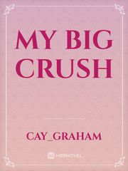 my big crush Book