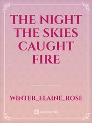 The Night the Skies Caught Fire Book
