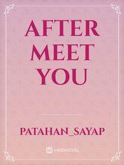 After Meet You Book