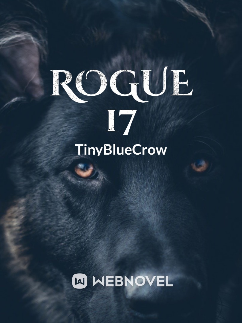 Rogue 17