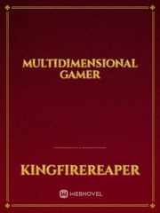 Multidimensional Gamer Book