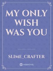 My only wish was you Book