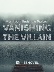 Vanishing the Villain Book