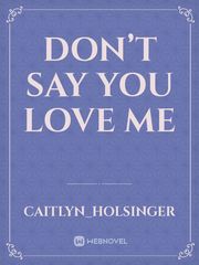 Don’t Say You Love Me Book