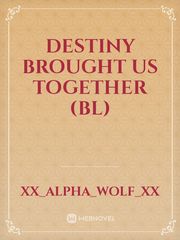 Destiny brought us together (BL) Book