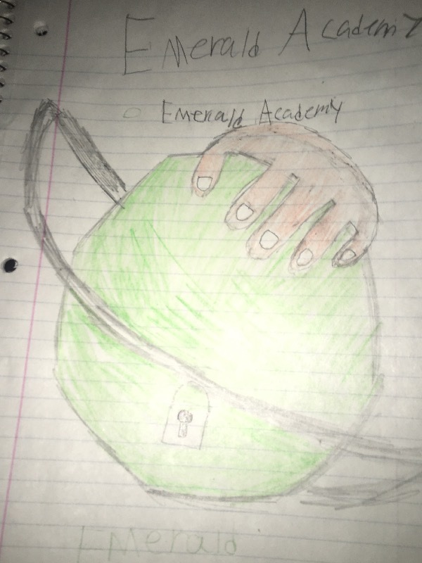 Emerald academy Book