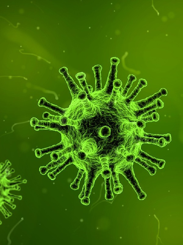 Viral Infection: A Zombie Apocalypse Novel
