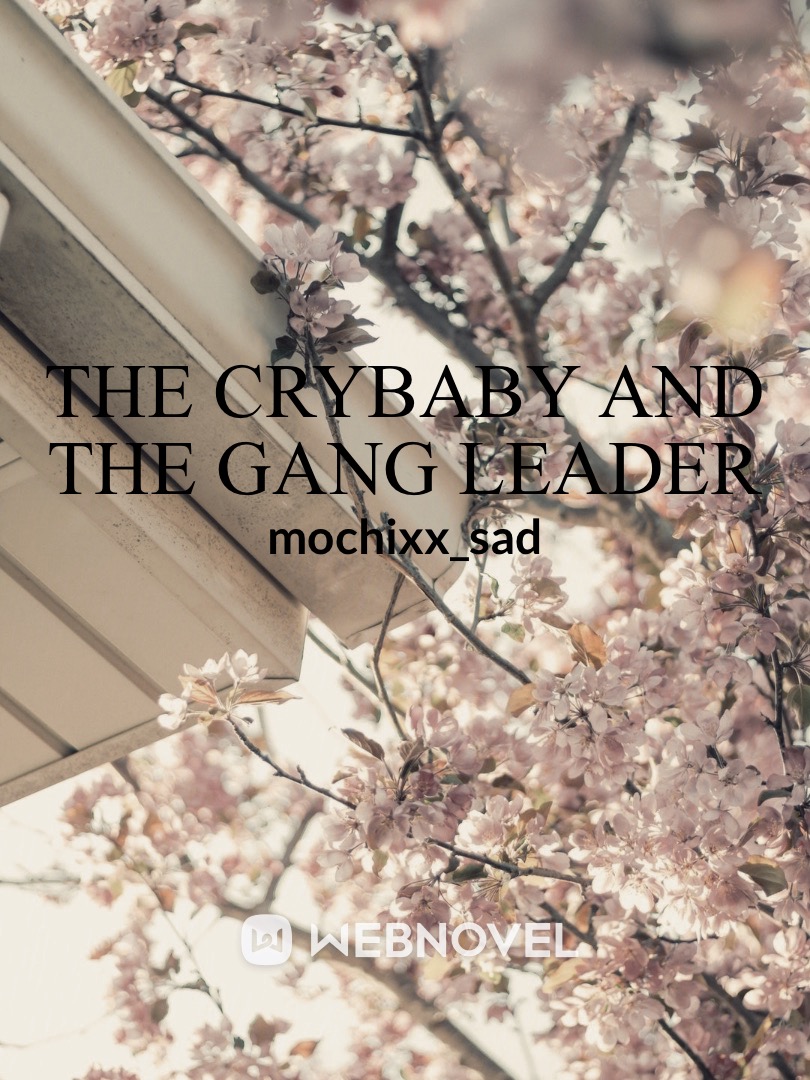 The Crybaby And The Gang Leader Book
