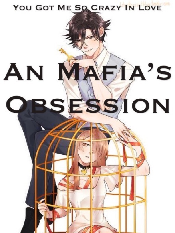 An Mafia's Obsession* Book