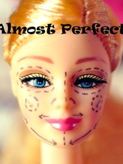 Almost Perfection Book
