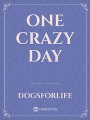 One Crazy Day Book
