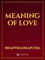 Meaning Of Love Book