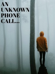 AN UNKNOWN PHONE CALL... Book
