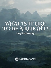 what is it like to be a knight Book