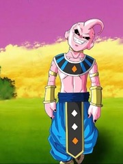 Transmigrated to kid buu's body Book
