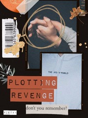 Plotting Revenge Book