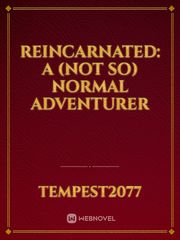 Reincarnated: A (Not So) Normal Adventurer Book