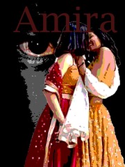 Amira (GL) Book