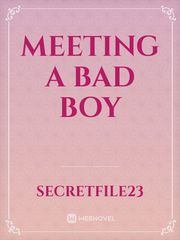 Meeting a Bad boy Book