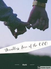 Boundless Love of the CEO Book