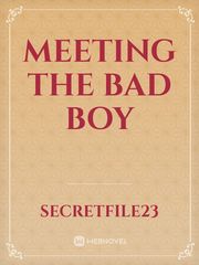 Meeting the Bad Boy Book
