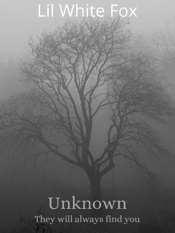 A Path To The Unknown Book